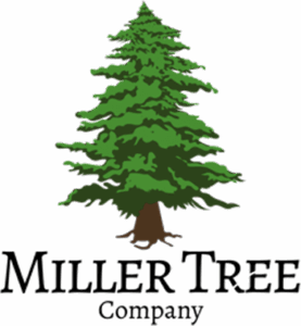 Miller Tree Company