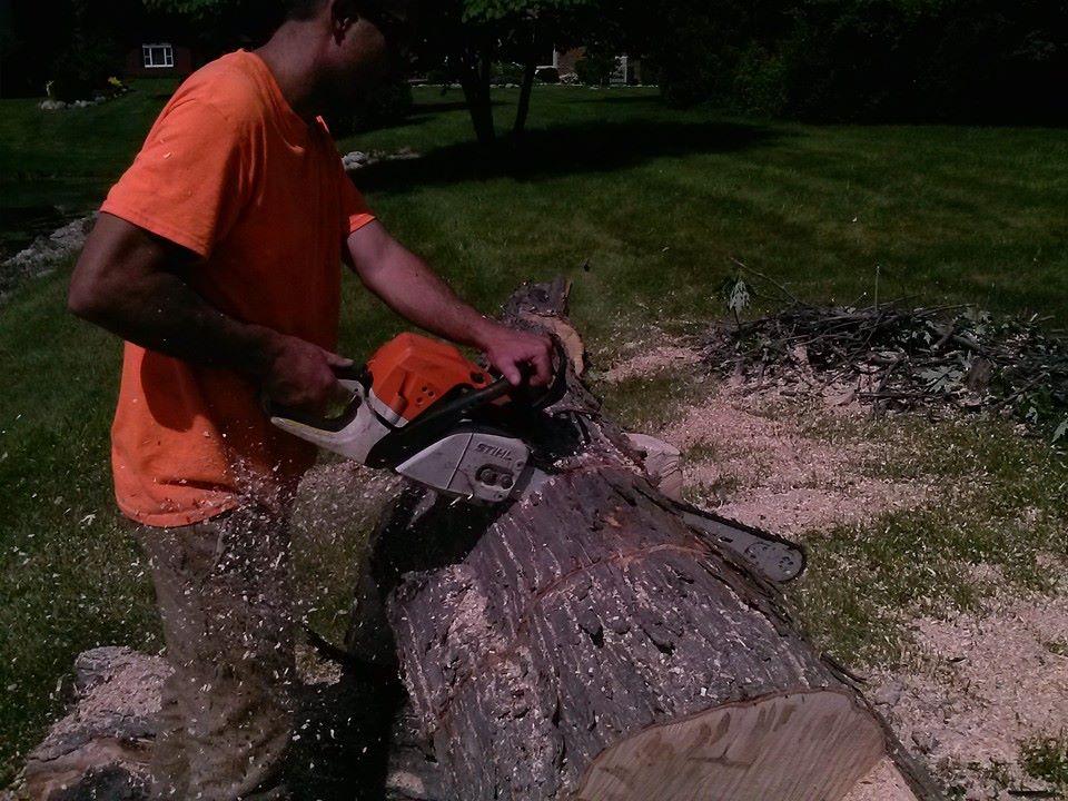 Oakland County tree care by Miller Tree Company.
