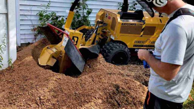 Wolverine Lake stump grinding by Miller Tree Company