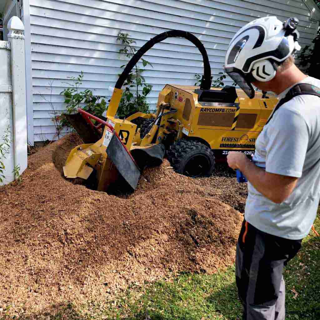 Wolverine Lake stump grinding by Miller Tree Company.