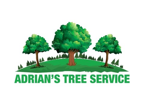 Adrian's Tree Service — Walled Lake