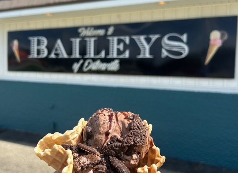 Bailey's Ice Cream — Brandon Township