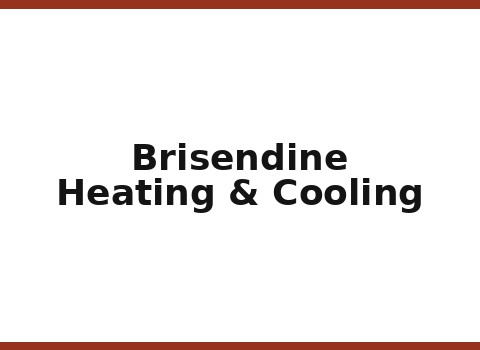 Brisendine Heating & Cooling — Fraser