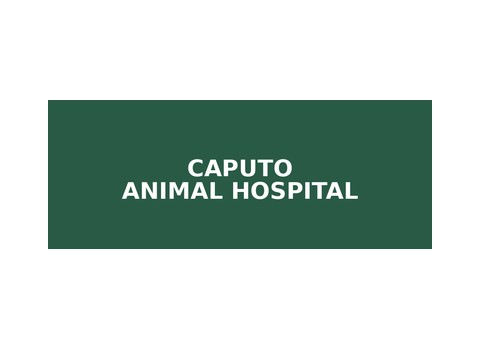 Caputo Animal Hospital — Dearborn Heights