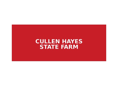 Cullen Hayes — State Farm Insurance — Howell
