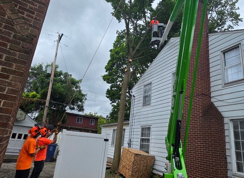 Earthworks Outdoor Services — Orion Township