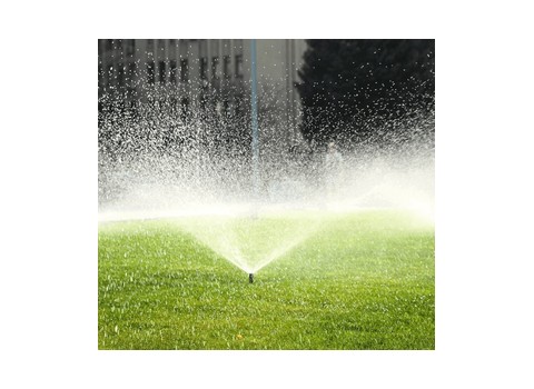 Edmunds-Cervi Irrigation — Troy