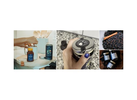 Elderberry Boost — Howell