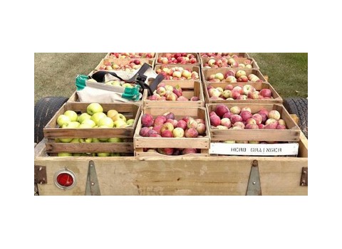 Grainger's Orchard & Shiny Apple Wines — Howell