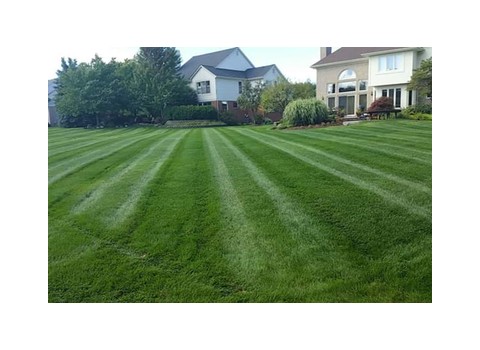 Greenline Lawn Service — Troy