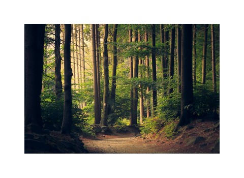 Holly Recreation Area