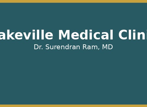 Lakeville Medical Clinic — Addison Township