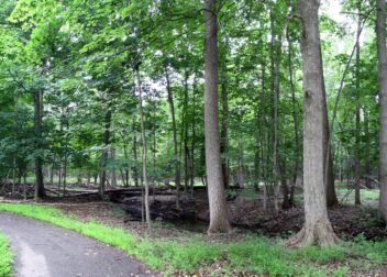 Lloyd A. Stage Nature Center forest trail