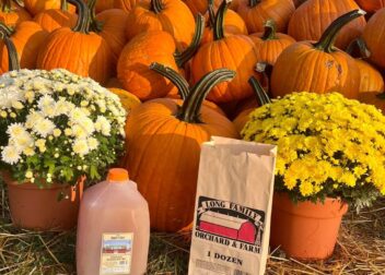 Cider, doughnuts and fall flowers at Long Family Orchard