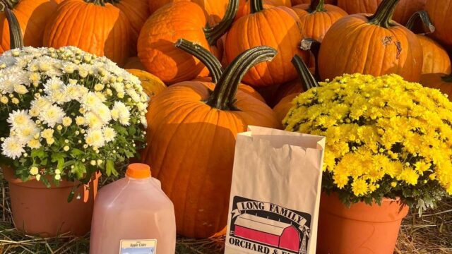 Cider, doughnuts and fall flowers at Long Family Orchard