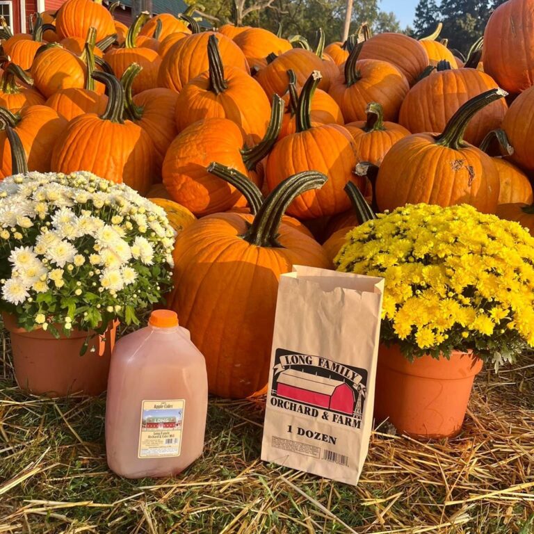 Cider, doughnuts and fall flowers at Long Family Orchard