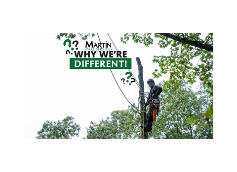 Martin Tree Service — Howell
