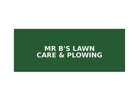 Mr B's Lawn Care & Plowing — Howell