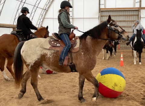 New Beginnings Ranch — Rose Township
