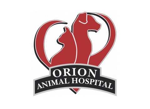 Orion Animal Hospital — Orion Township