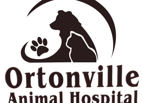 Ortonville Animal Hospital — Brandon Township