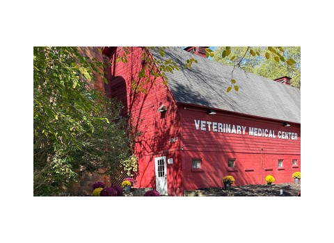 Red Barn Veterinary Medical Center — Howell