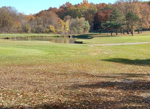 resized-chemung