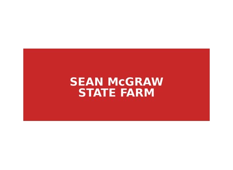 Sean McGraw — State Farm Insurance — Dearborn Heights