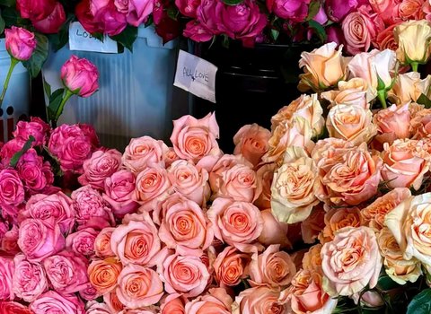 Tiffany Flowers